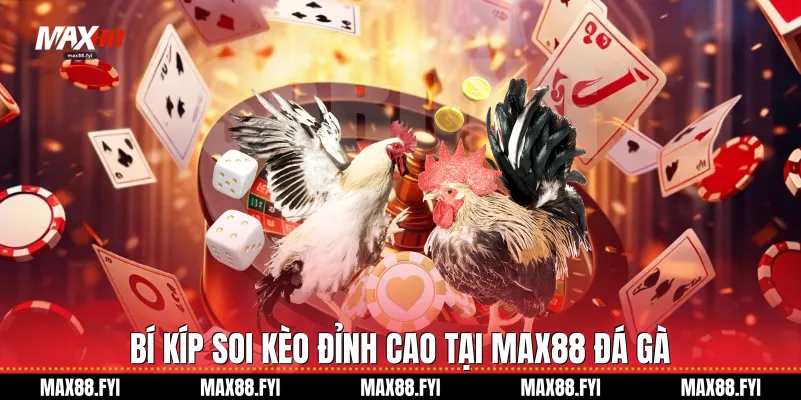 Đá Gà - Sân Chơi Kịch Tính Và Đẳng Cấp Hàng Đầu Tại Max88 3 Bí kíp soi kèo đỉnh cao tại Max88 Đá gà